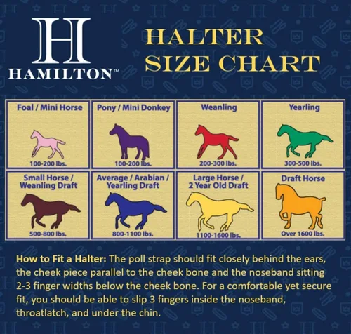 Vista 2 de Hamilton Halter de nailon de 1 pulgada con barbilla ajustable, color negro, tamaño promedio