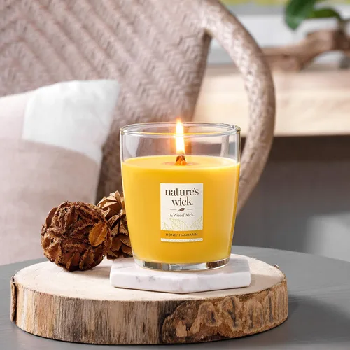 Vista 4 de Nature's Wick Vela perfumada de miel y mandarina de 10 onzas