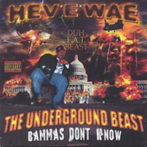 Bammas Don't Know