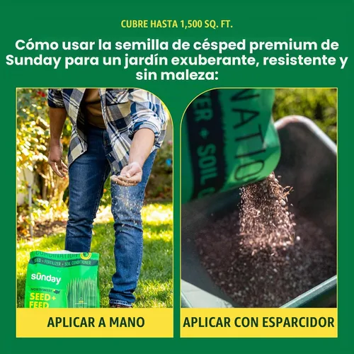 Vista 6 de Semillas y fertilizantes de hierba Sunday Northwest con festuca alta, sol