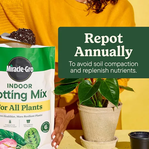 Vista 5 de Miracle-Gro Mezcla para Macetas de Interior, Alimento para Plantas de Interior y Abrillantador de Hojas - Paquete de tierra para macetas