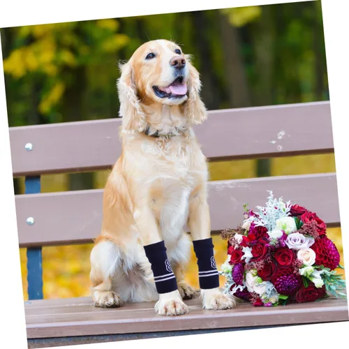 Vista 6 de BESTonZON 4pcs Pet Elbow Protectors Dog Leg Warmers Sleeves for Licking Prevention and Comfort