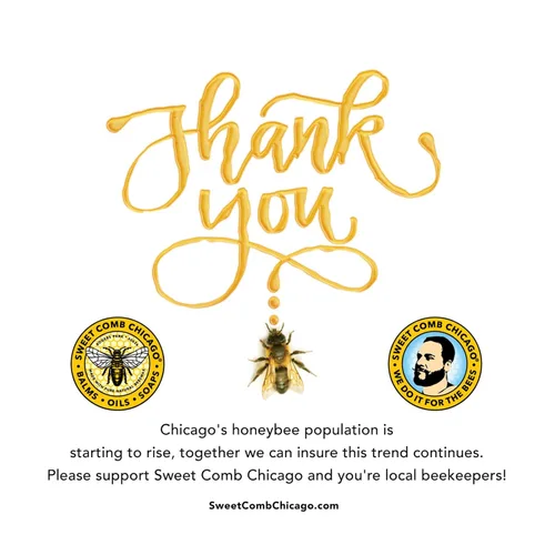 Vista 6 de Cool Beans - Jabón de afeitado con infusión de café y menta, gran despertar matutino con un increíble afeitado aromático, impresionante para un