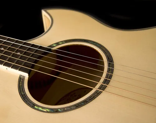 Vista 3 de Washburn Guitarra eléctrica acústica Festival EA20 (EA20-A)