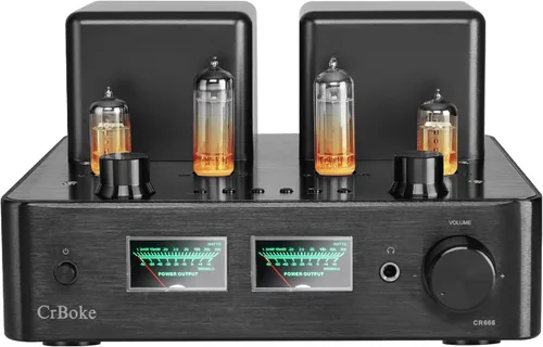 Tube Amplifier, Tube Amplifier Home Audio, Stereo Vacuum Tube Amplifier, with Bluetooth 5.0, Treble Bass Control, Subwoofer Output, Headphone
