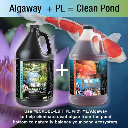 Vista 5 de MICROBE-LIFT ALGA08 Algaway 5.4 Tratamiento de control de algas para estanques y jardines acuáticos, seguro para peces koi, peces dorados, plantas