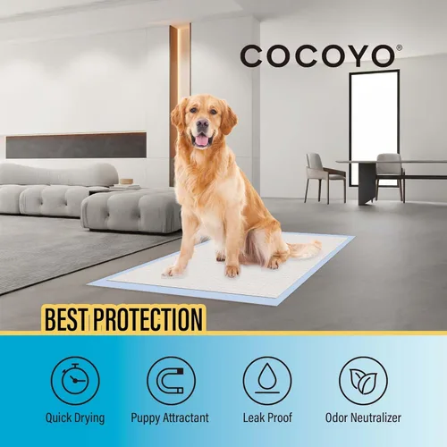 Vista 3 de COCOYO Almohadillas de entrenamiento de mejor valor, 22 x 22 pulgadas, 100