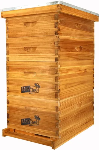 MayBee Colmena Langstroth de 10 marcos sumergida en cera de abejas 100%, kit de iniciación completo de colmenas y suministros para abejas incluye 2