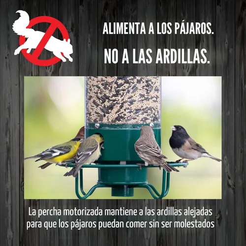 Vista 9 de Comederos para pájaros a prueba de ardillas Droll Yankees para exteriores - YF-M - Flipper, perchas plegables, capacidad de semillas de 5 libras