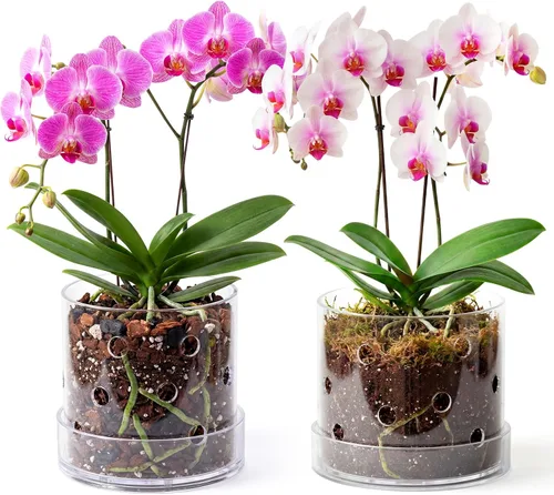 Vista 9 de Macetero acrílico transparente para orquídeas de 5 pulgadas con agujeros