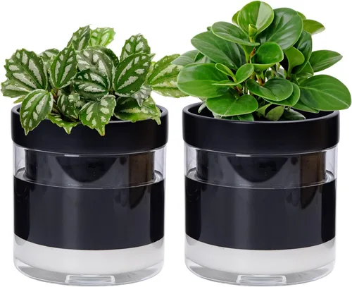 Vista 19 de Phoenix Vine Macetero de terracota de riego automático de 4 pulgadas, maceta de arcilla de terracota negra con depósito de vidrio para plantas