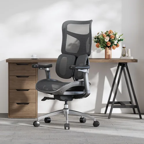 Vista 2 de SIHOO Doro S100 - Silla de oficina ergonómica, soporte lumbar dinámico Negro