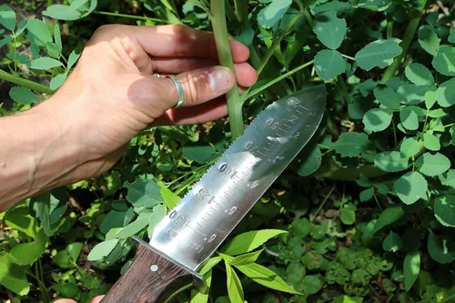 Vista 6 de Hori Hori - Cuchillo japonés de jardinería prémium - Cuchillos de jardín de espiga completa con funda de cuero