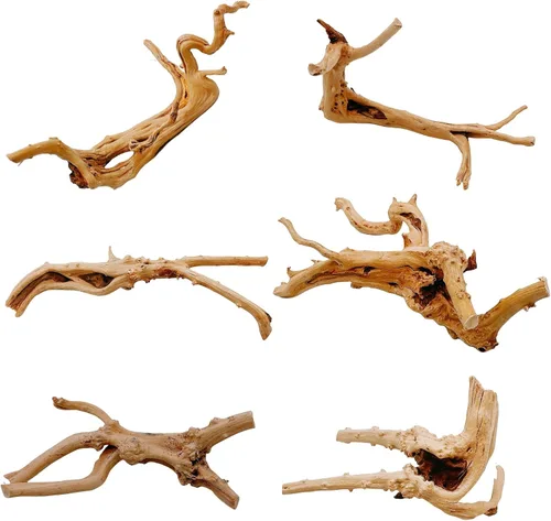 Vista 10 de Hamiledyi 5 piezas de madera flotante para acuario, madera de coral natural de 3.5-7 pulgadas, pecera de madera flotante, ramas variadas, decoración
