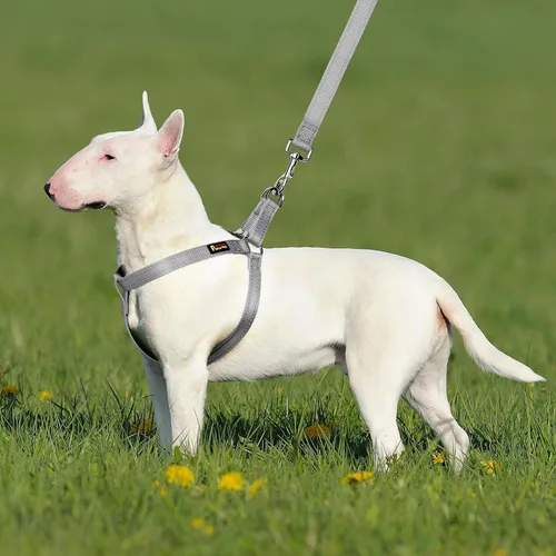 Vista 7 de Plutus Pet Step in Arnés para perro, reflectante, ajustable y seguro con hebillas de metal, arnés de ajuste rápido para cachorros, perros pequeños