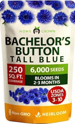 Vista 93 de Bóveda de 15 semillas de hierbas culinarias – Más de 4500 semillas criollas sin transgénicos para plantar – Jardín de hierbas para interiores