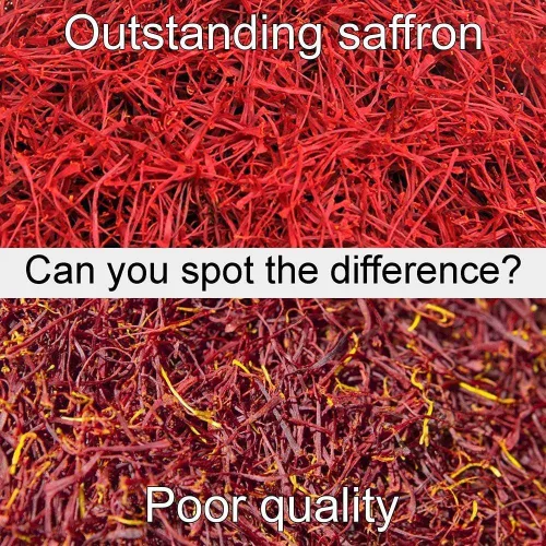 Vista 4 de SAFFRON, All Red Super Negin Grade A+ - Especias de alta calidad para paella, risotto, té persa, arroz persa y leche dorada, 1.76 oz
