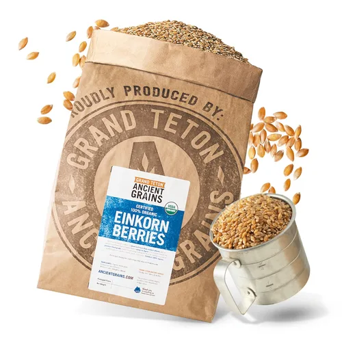 Vista 10 de Grand Teton Ancient Grains - Bayas de Einkorn 100% orgánicas, Farro Piccolo de grado alimenticio premium, bayas de trigo Einkorn, grano Einkorn