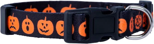 Vista 29 de Native Pup Collar de Perro con Bandera Americana - Rojo, Blanco y Azul - Collares Patrióticos para el 4 de Julio, EE.UU. - Ajustable para Perros