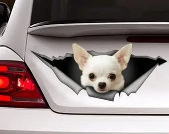 Vista 8 de Calcomanía roja de perro salchicha de pelo largo, calcomanía para mascotas, calcomanía de perro salchicha rojo, calcomanía de vinilo para perro
