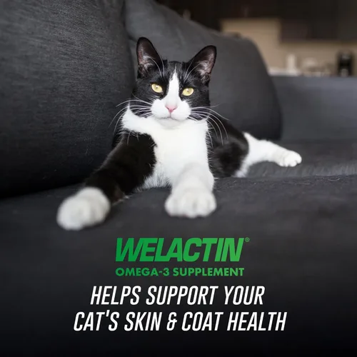 Vista 2 de Welactin Omega-3 - Soporte para piel y pelaje, líquido, 4 onzas, verde