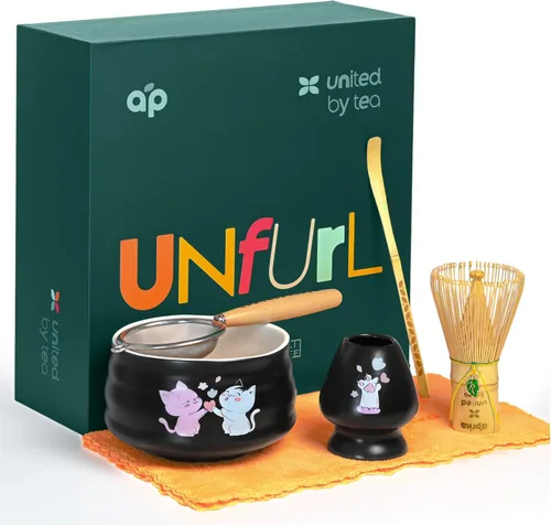 Juego de regalo Matcha de 6 piezas, cuenco de cerámica, batidor de bambú, soporte para batidor, cuchara, tamiz y tela, juego tradicional japonés