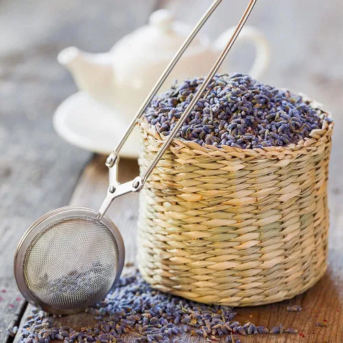 Vista 4 de Lavande Sur Terre 4 tazas de lavanda en botella de vidrio pequeña, brotes de flores de lavanda secas Highland, LV-G-2