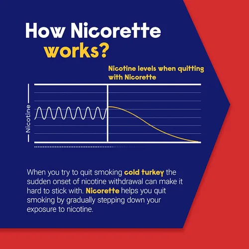 Vista 4 de Nicorette Goma de mascar de nicotina recubierta de 2 mg para ayudar a dejar de fumar con el programa de apoyo conductual, ayuda para dejar de fumar