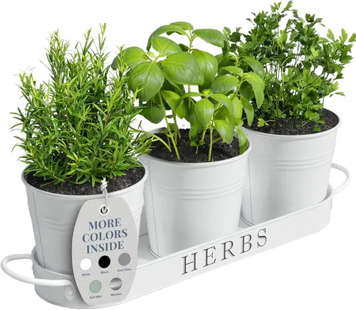 Vista 11 de Barnyard Designs - Juego de macetas para jardín de hierbas de interior con bandeja, macetas de metal para alféizar con drenaje para plantas de Negro