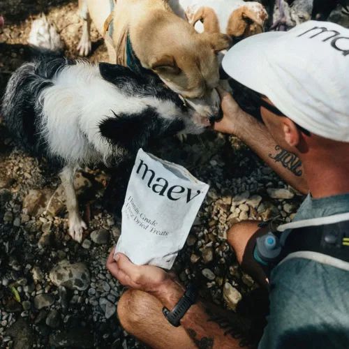 Vista 3 de Maev Golosinas de hígado de carne cruda liofilizadas de grado humano 100% certificado USDA de un solo ingrediente Snacks saludables para perros