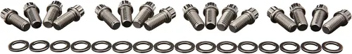 ARP 4001202 - Kit de pernos de cabeza de acero inoxidable 300 de 12 puntos, paquete de 16