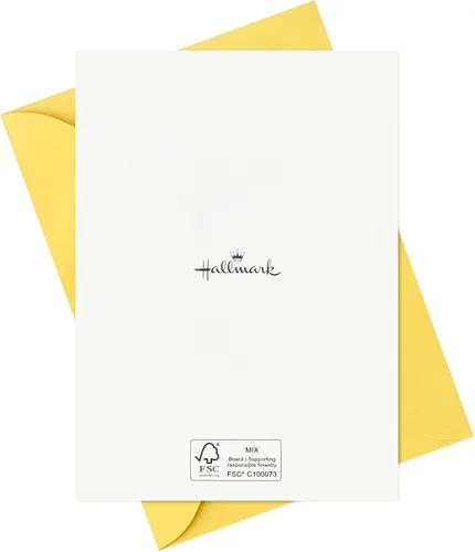 Vista 6 de Hallmark Tarjetas de cumpleaños surtidas para niños (24 tarjetas en blanco con sobres) desean lo grande, el mejor día de la historia