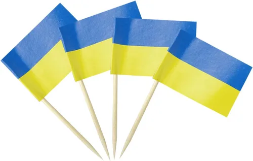 Vista 30 de Bandera de Argentina Bandera Argentina, Pequeñas Mini Banderas de Dientes de Argentina para Comida, Cupcakes, Cócteles, Aperitivos, Decoraciones