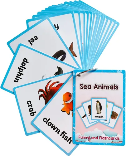 Vista 25 de Lilias WC024 - Tarjetas didácticas para la escuela y el aula, juguetes de aprendizaje para niños pequeños, juguetes de aprendizaje preescolar