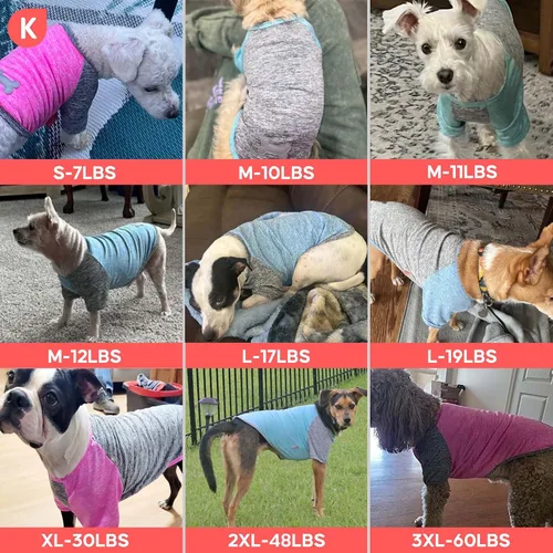 Vista 5 de KYEESE Paquete de 2 camisetas para perros pequeños con protección solar y 1# 2 Paquete (azul+gris)