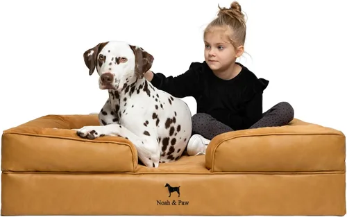 Vista 20 de NOAH & PAW Cama pequeña para perros, 20 x 15 x 8 pulgadas, cama para gatos de interior, espuma viscoelástica ortopédica de cáscara de huevo