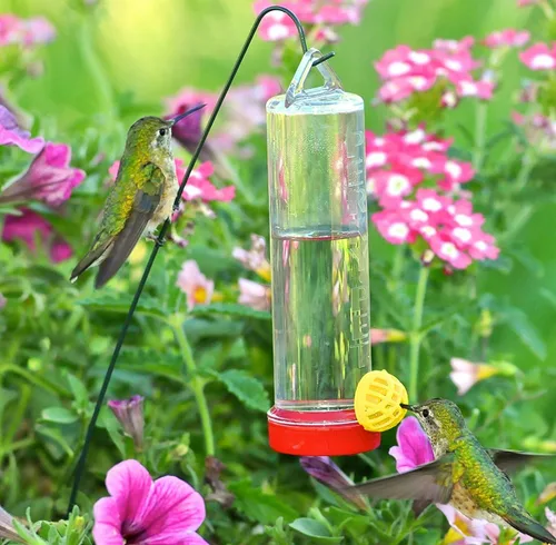 Vista 2 de Perky-Pet Paquete de 2 macetas de plástico 215P para colibríes con colgador (capacidad de 3 onzas)