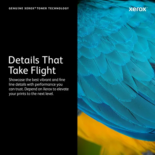 Vista 3 de Xerox Original Phaser 6510/Workcentre 6515 cartucho de tóner cian capacidad estándar (1000 páginas) - 106R03473