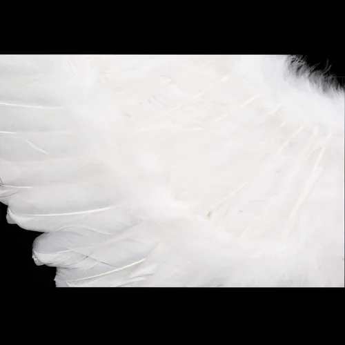 Vista 6 de Angel Feather Wing for Women Halloween Party Costume Accessory