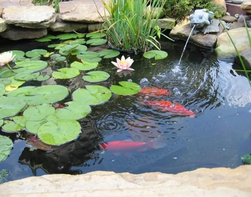 Vista 4 de Revestimiento para estanques de 15 x 20 pies y 20 mil para estanques al aire libre, revestimiento de estanque de peces de LDPE resistente a