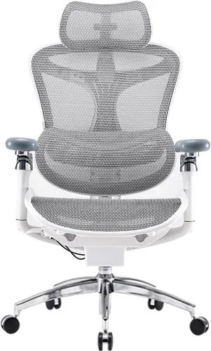 SIHOO Doro C300 Pro - Silla de oficina ergonómica con reposabrazos 6D ultra suaves, soporte lumbar dinámico, ajuste de profundidad del asiento,