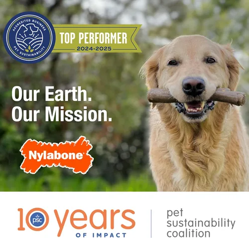 Vista 10 de Nylabone Power Chew - Juguete masticable para perros masticadores extremos, juguete en forma de X, sabor a tocino, tamaño XL/Souper, 1 unidad