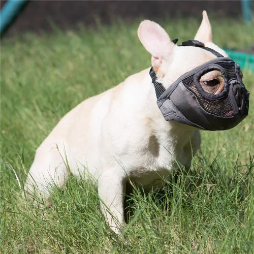 Vista 7 de Bozal para perro de hocico corto - Bozal ajustable transpirable de redecilla para bulldog para morder, masticar, lamer, entrenamiento, aseo de perro