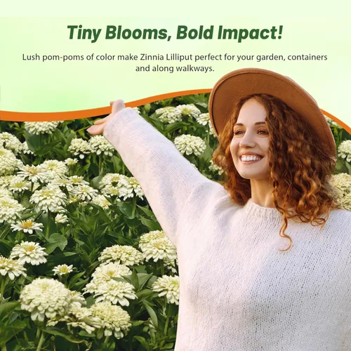 Vista 2 de Outsidepride - Zinnia Elegans, 1000 semillas anuales, Lilliput White, flores para plantar, color blanco
