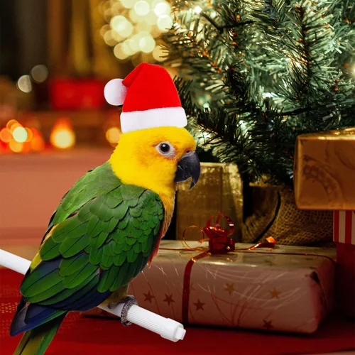 Vista 5 de Juego de 12 bufandas de gorro de pollo para mascotas, gorro de animal de Navidad, mini sombrero de Papá Noel, gorro de Navidad para mascotas