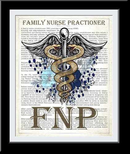 Vista 2 de Family Nurse Practitioner Gift, FNP Gift, Nurse Present, Nursing School Graduation Gift Idea, Medical School, FNP Office Decor, Wall Art