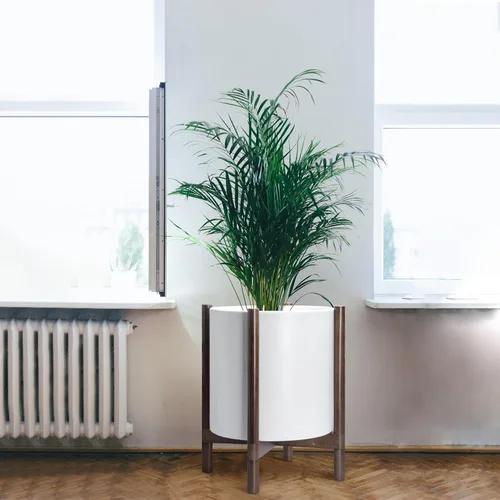 Vista 2 de Maceta D'vine Dev con soporte - Maceta de cilindro de plástico de 16 pulgadas con soporte de madera para interior, maceta mate de color blanco +