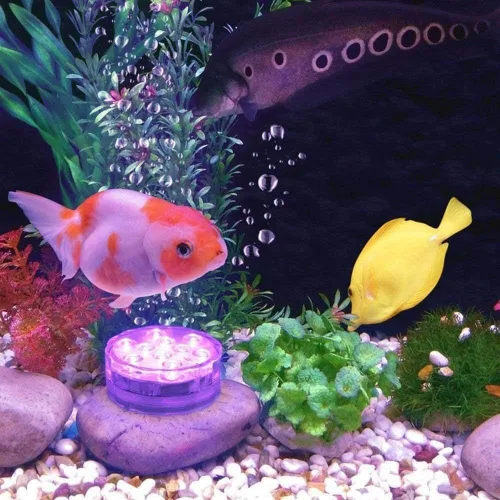 Vista 6 de AquaMiracle Luces LED sumergibles con mando a distancia, impermeables, operadas por batería, luces multicolor que cambian de color para jacuzzi