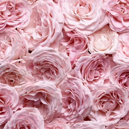 Vista 6 de Escada Especialmente Eau De Parfum - Perfume floral para mujer - Con notas de pétalos de rosa y pera - Perfumes de lujo para mujer - Fragancia