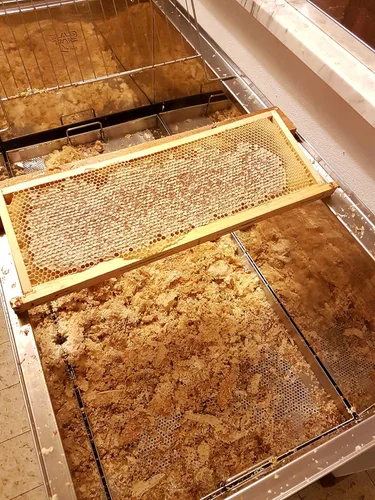 Vista 6 de Giannetti Artisans Miel de acacia italiana importada de primera calidad, 17.63 oz (individual)